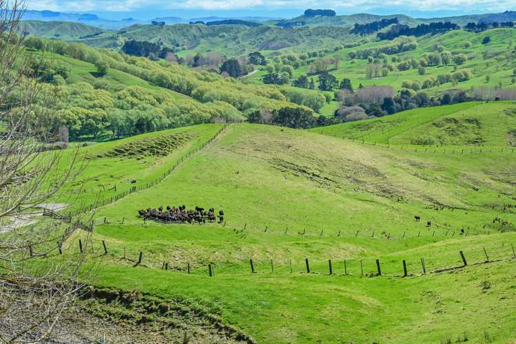 0 Awahiwi Road Wallingford_9