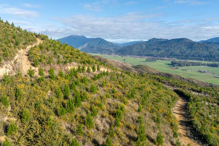 Matakitaki Road Murchison_10