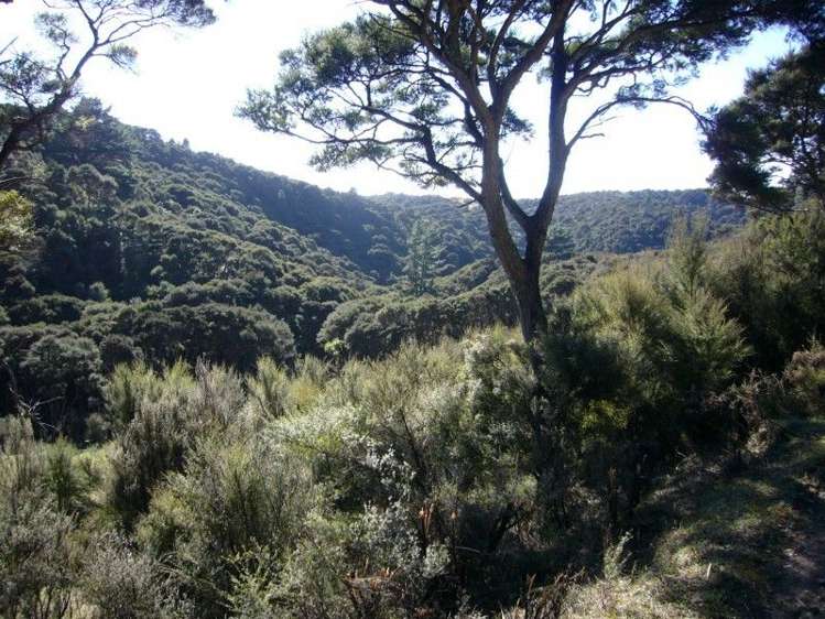 419 Spur Road Pongaroa_10