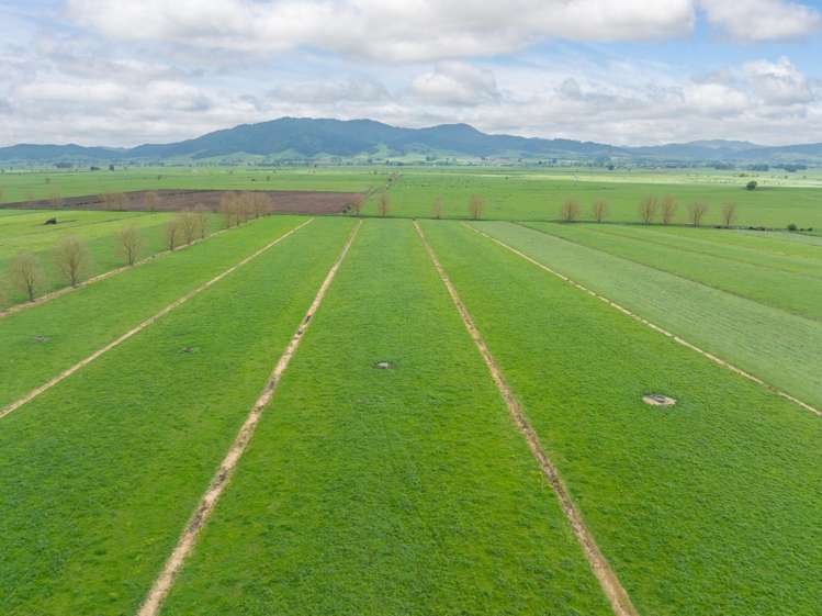 435 and 452 Tainui Road Morrinsville_28