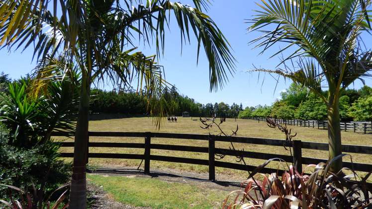 371 Wiroa Road Kerikeri_6