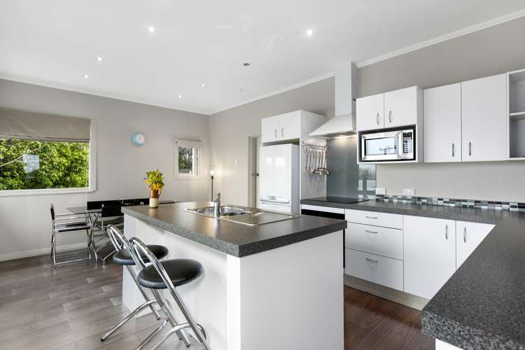 127 Larnach Road Vauxhall_10