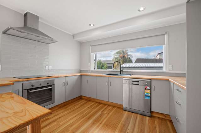 49 Tuhikaramea Road Dinsdale_2