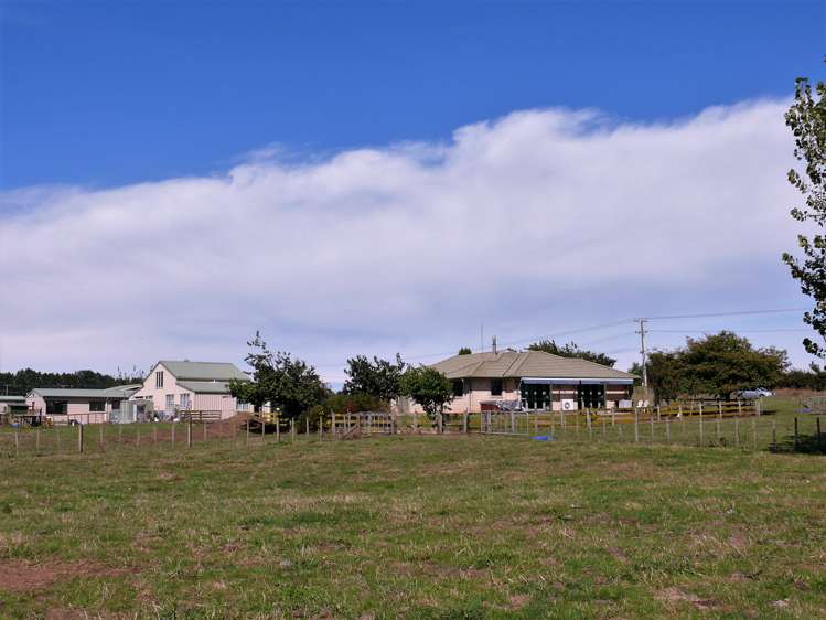 166 Hangawera Road Morrinsville_17