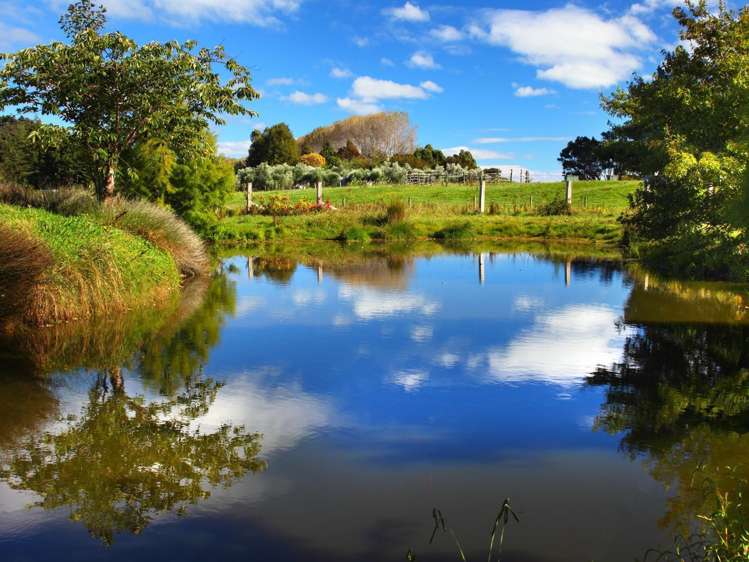 195 Tangmere Road Takaka_12