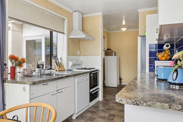 20B Alma Street Renwick_4