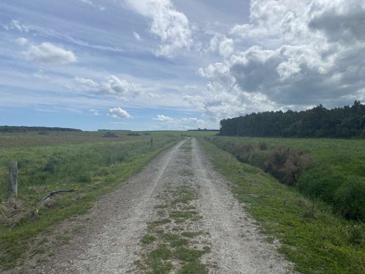 491 Waituna Gorge Road Wyndham Surrounds_17