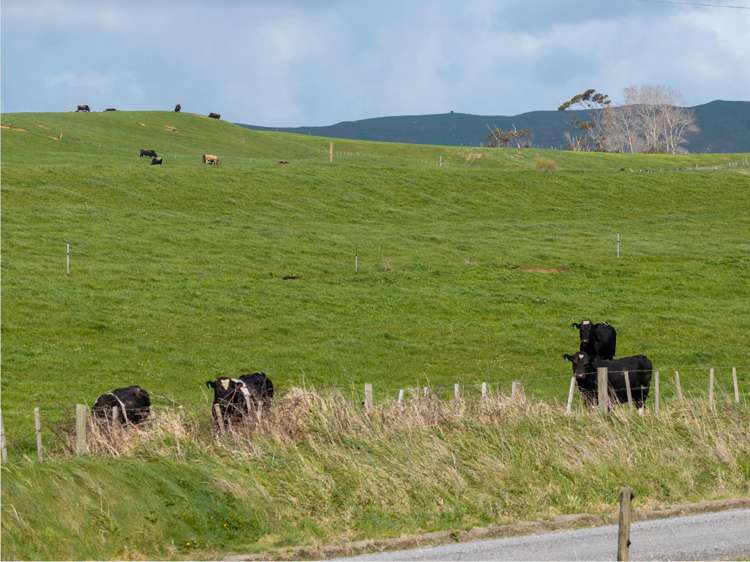 1698 Hetherington Road Huntly_28