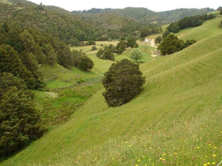 361 Kaiikanui Road Hukerenui and Surrounds_29