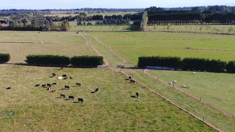 5 Kennington Roslyn Bush Road Mill Road_19