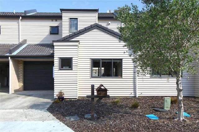 Executive low maintenance home