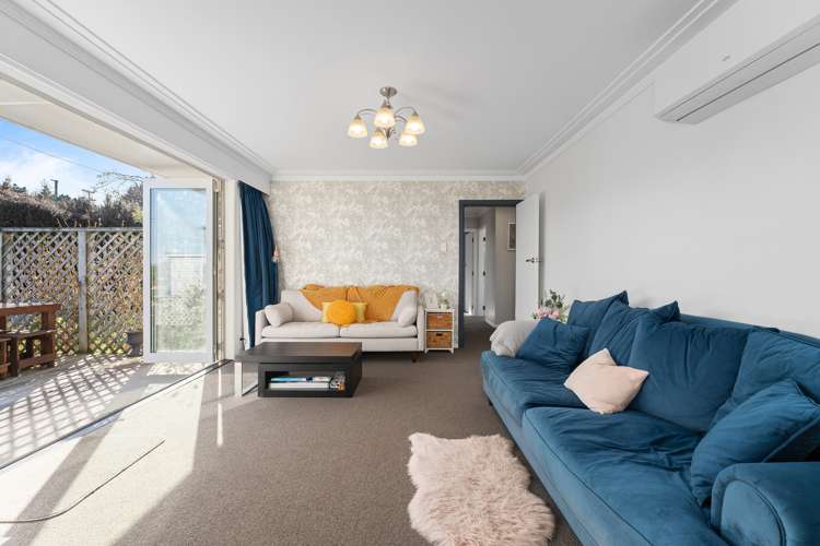 280 Highcliff Road Shiel Hill_9