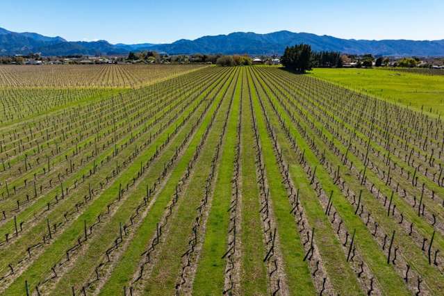 107 State Highway 63 Renwick_3