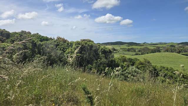 0n Opourapa Road Rahotu_2