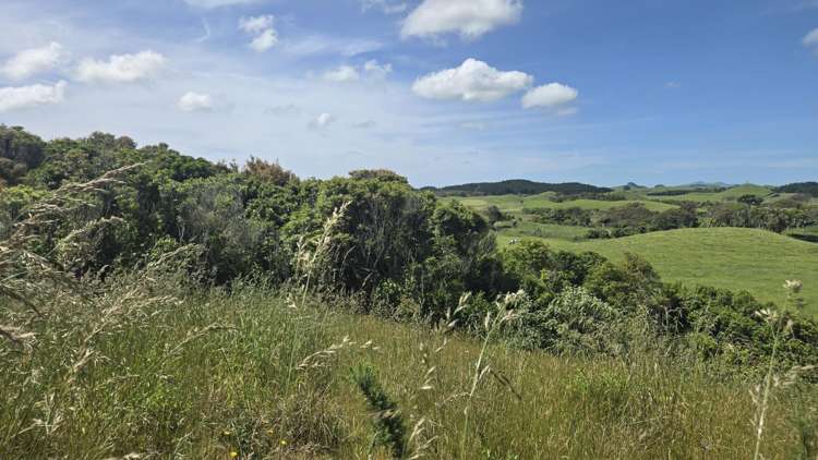 . Opourapa Road Rahotu_17