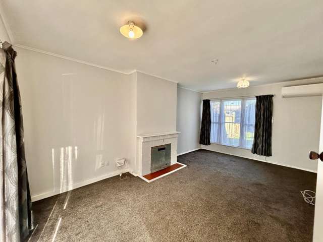 32 Longfellow Avenue Maraenui_1