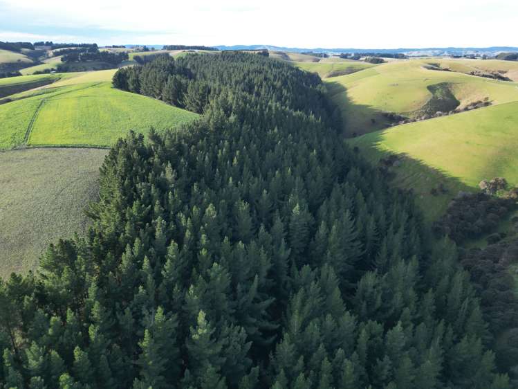 92 Cameron Road Hillend_24