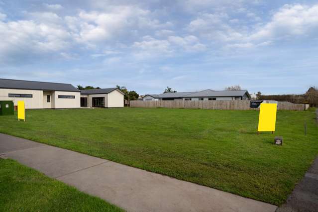16 Allan Avenue Makauri_2