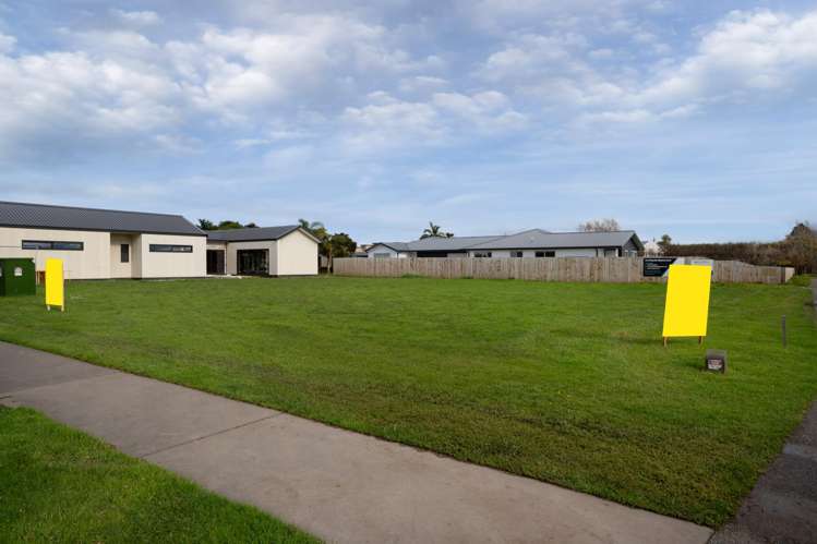 16 Allan Avenue_2