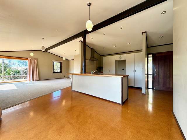 64 Hills Road Raglan_1