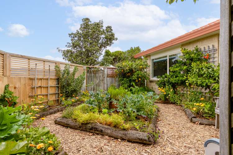 29 Avion Terrace Raumati Beach_19