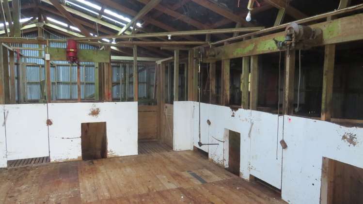 291 Mahoe Road Waitomo_14