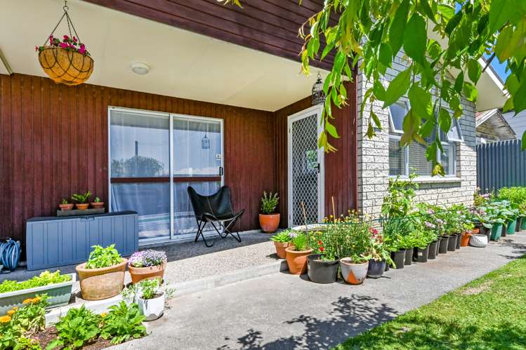 107 Princes Street Parkvale_3