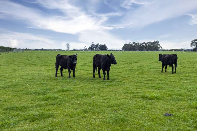 227 Foley Road Kerrytown_8