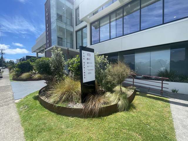 173 Captain Springs Road Onehunga_2