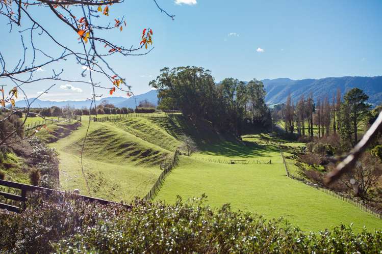 976 Old Te Aroha Road_3