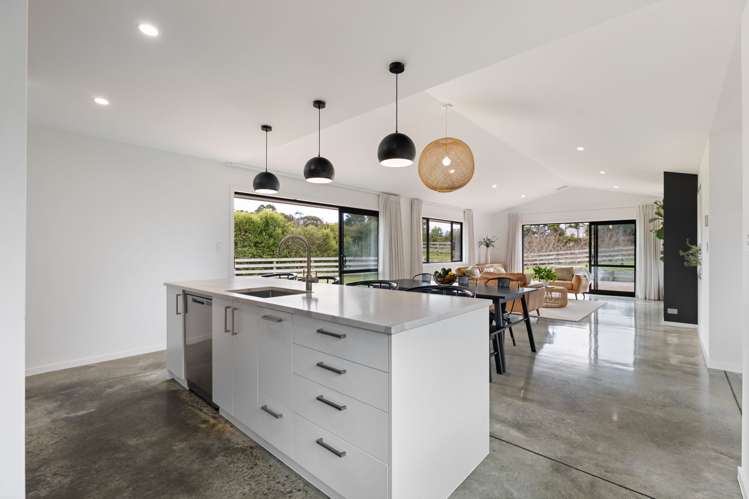 906E Reid Line East Bunnythorpe_15