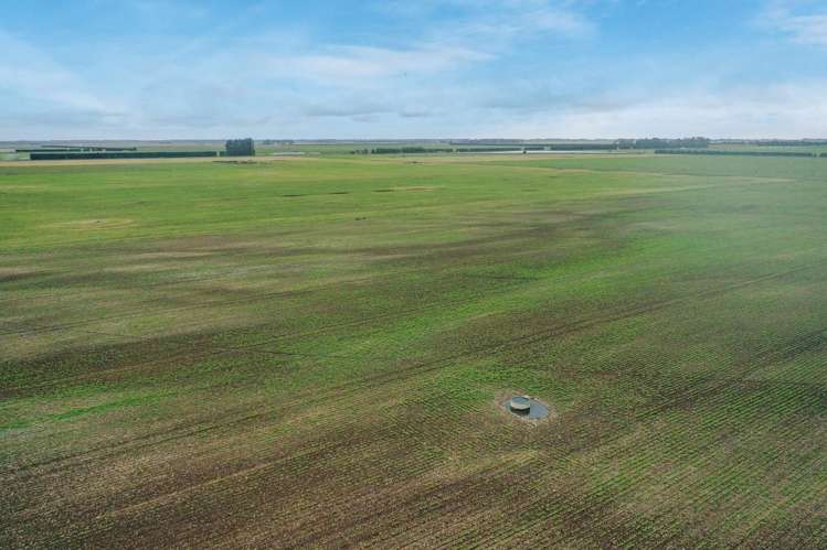 Burnham Road Temuka_14