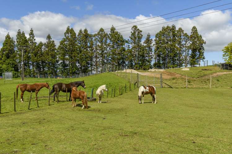 450 Mclaren Falls Road_0