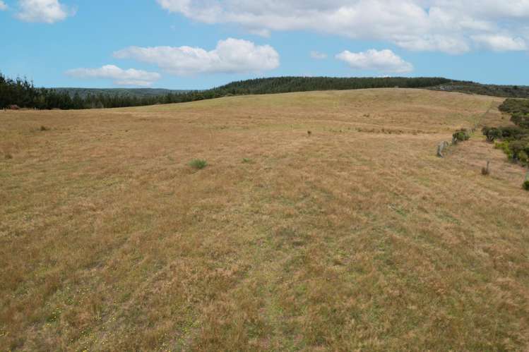 State Highway 12 Dargaville_7