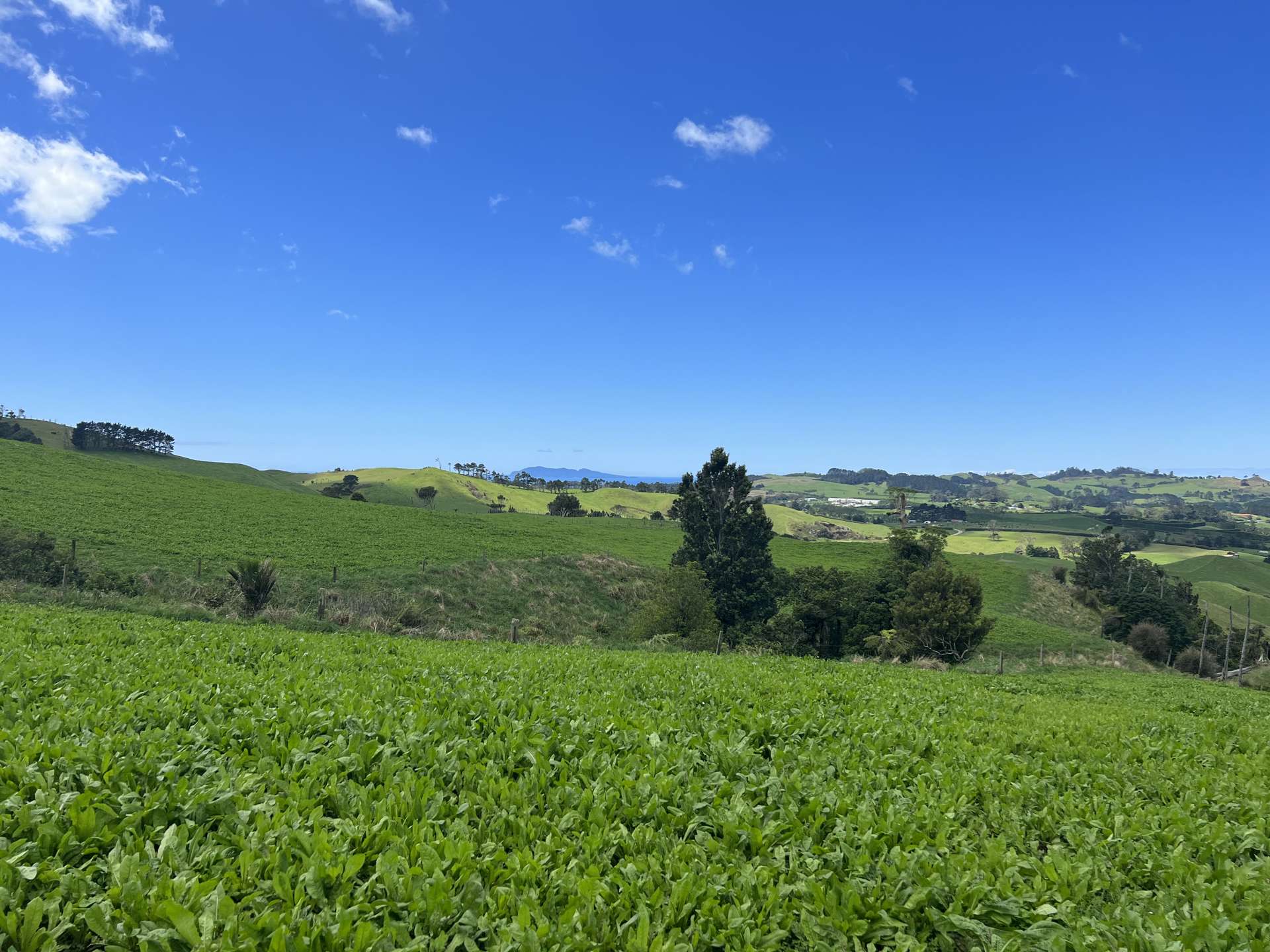 Corbett Road Lot 3 Waihi Hauraki Rural Property For Sale One Roof
