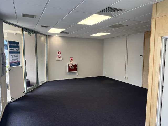 Unit 4 at 219 Collingwood Street Hamilton Central_1