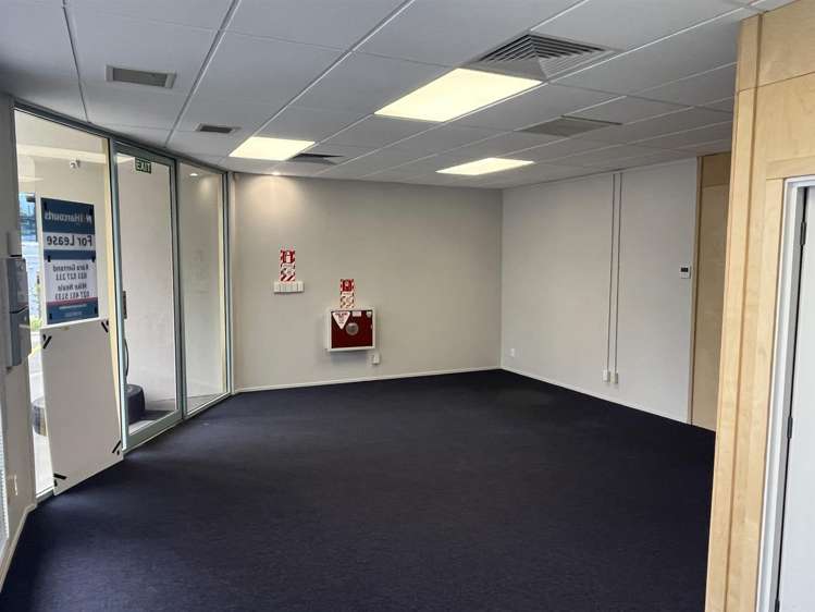 Unit 4 at 219 Collingwood Street Hamilton Central_1