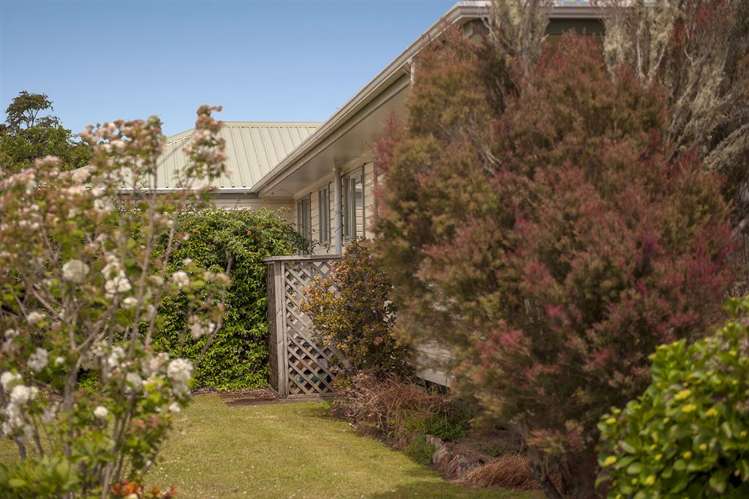 55 Springbok Avenue Whitianga_13