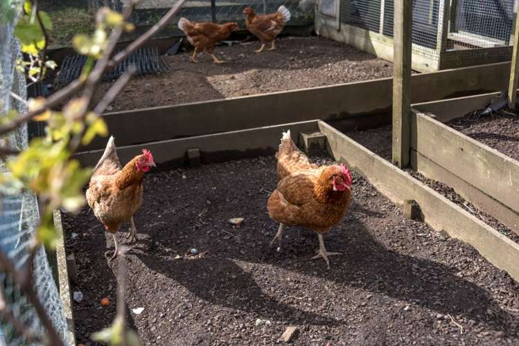 3 Clendon Place Manurewa_18