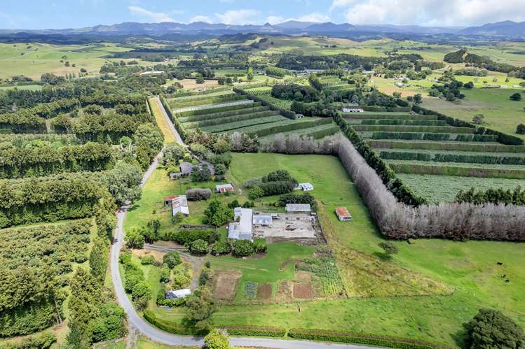 410A Whatitiri Road Poroti_20