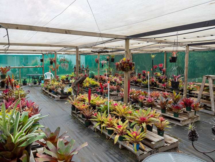 50B Equestrian Drive Kerikeri_43