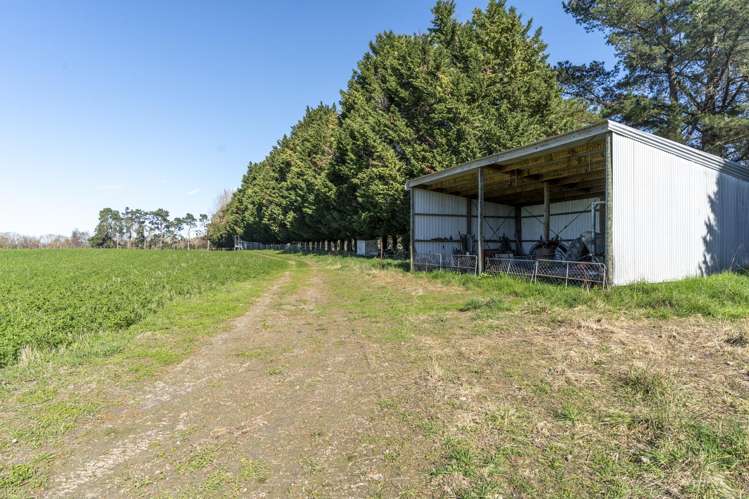 360 Te Whiti Road Homebush_13