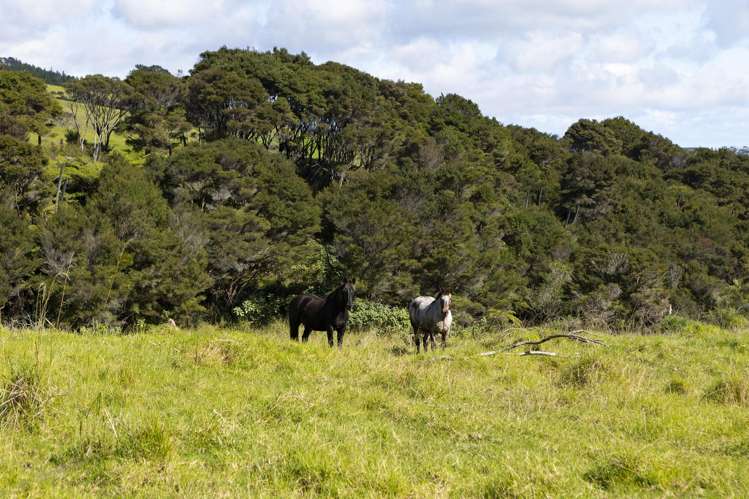 383 Okahu Road Kaitaia_37