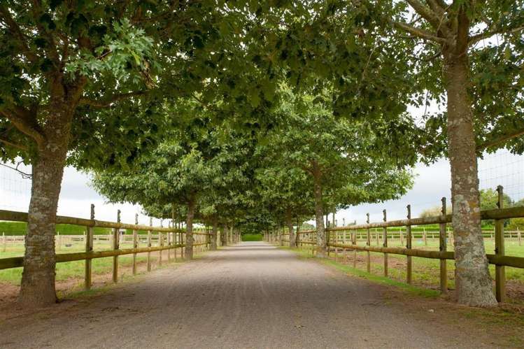 7567 State Highway 27 Matamata_18