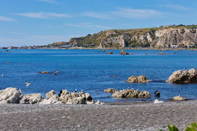 120 Esplanade Kaikoura_1