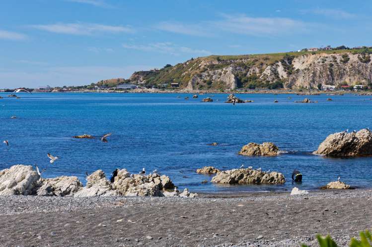 120 Esplanade Kaikoura_15