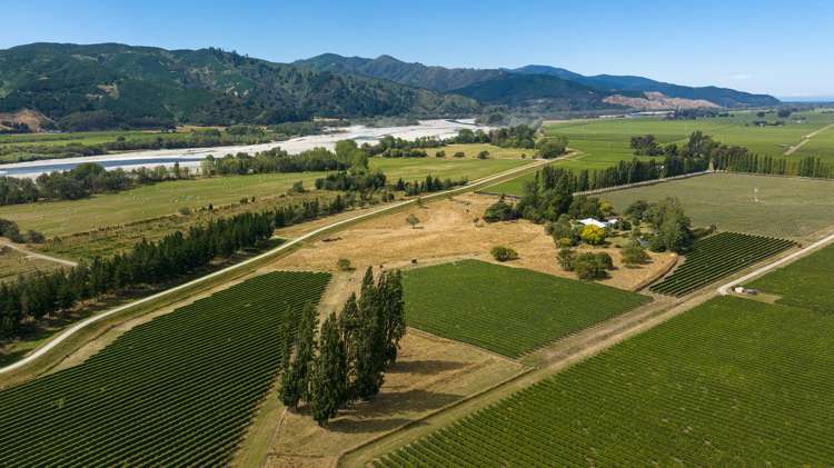 145 Giffords Road Rapaura_19