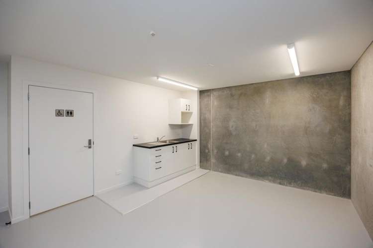 14 Wairaka Place Milson_19