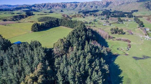 141 Potts Road Koputaroa_1