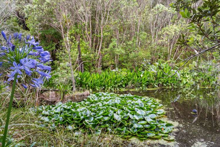 1024 Takatu Road Tawharanui Peninsula_27